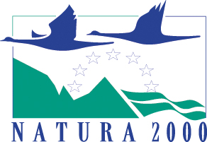 logo-2000